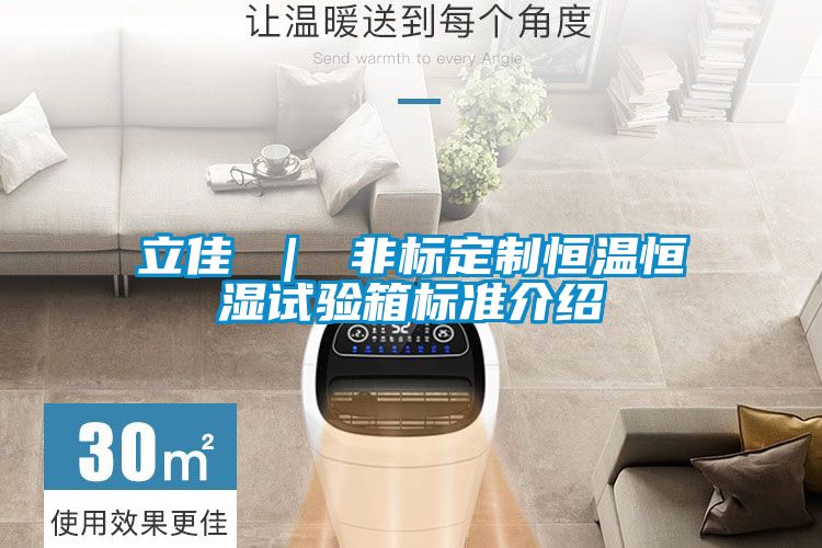 立佳 | 非標定制恒溫恒濕試驗箱標準介紹