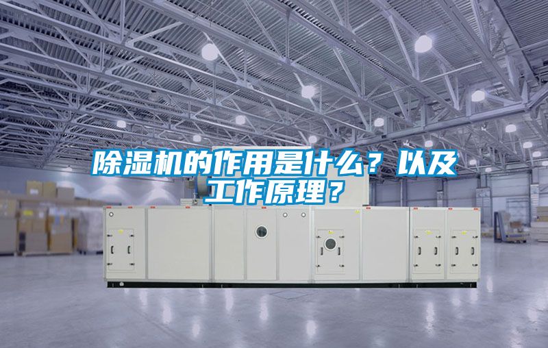 除濕機(jī)的作用是什么?以及工作原理?