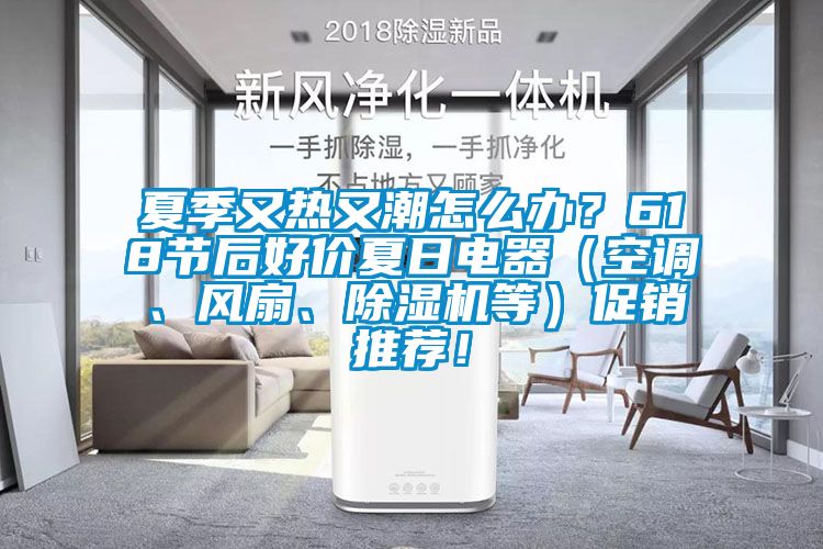 夏季又熱又潮怎么辦?618節(jié)后好價(jià)夏日電器(空調(diào)、風(fēng)扇、除濕機(jī)等)促銷推薦!