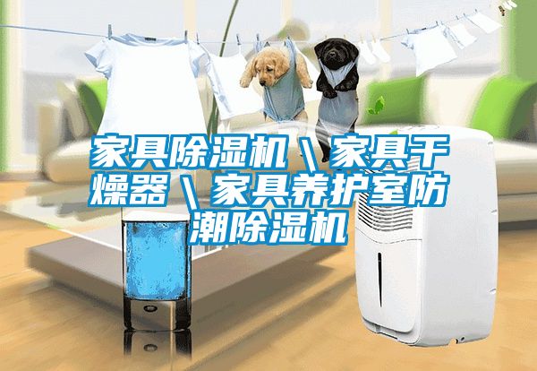 家具除濕機\家具干燥器\家具養護室防潮除濕機