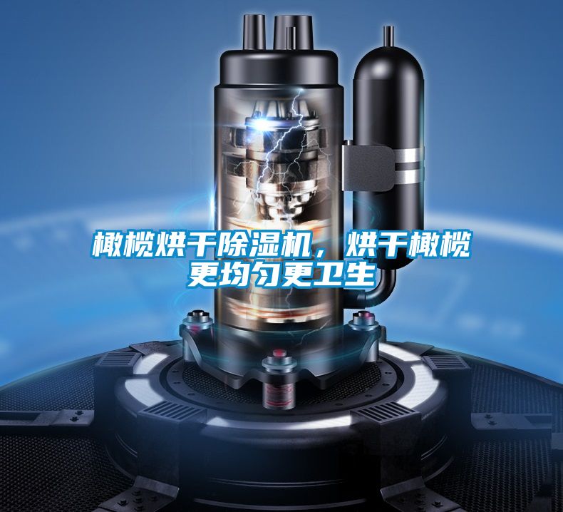 橄欖烘干除濕機，烘干橄欖更均勻更衛生