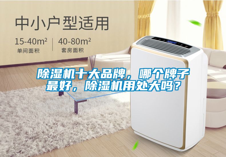 除濕機十大品牌，哪個牌子最好，除濕機用處大嗎？