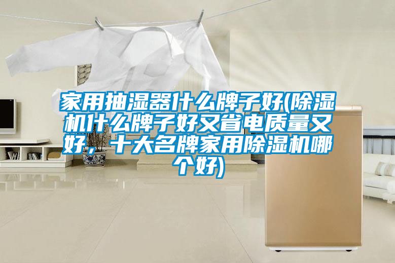 家用抽濕器什么牌子好(除濕機什么牌子好又省電質(zhì)量又好,十大名牌家用除濕機哪個好)