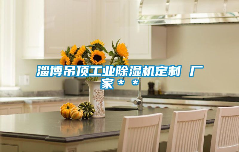 淄博吊頂工業除濕機定制 廠家**