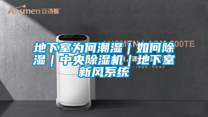 地下室為何潮濕|如何除濕|中央除濕機|地下室新風系統