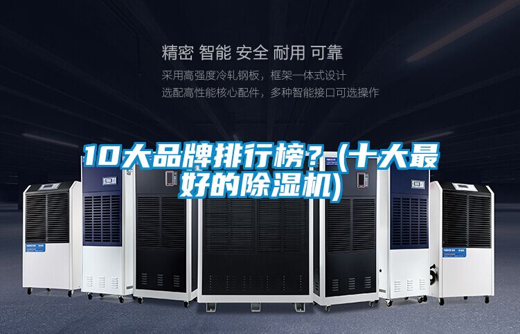 10大品牌排行榜?(十大最好的除濕機)