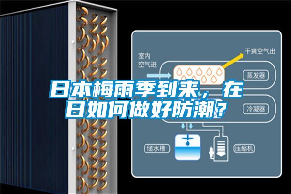 日本梅雨季到來，在日如何做好防潮？