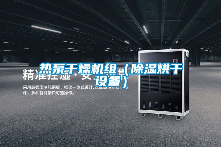 熱泵干燥機組(除濕烘干設備)