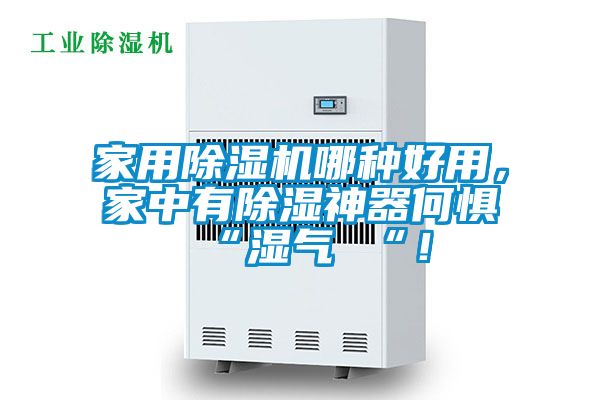 家用除濕機(jī)哪種好用，家中有除濕神器何懼 “濕氣 “！
