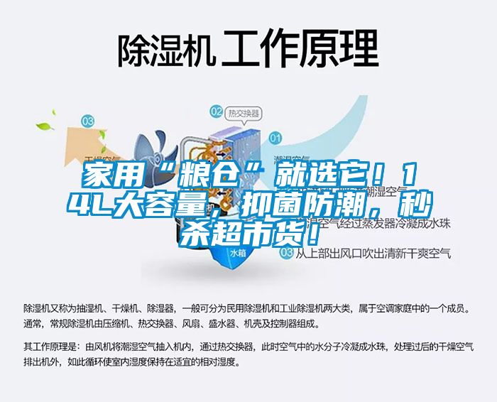 家用“糧倉”就選它!14L大容量,抑菌防潮,秒殺超市貨!