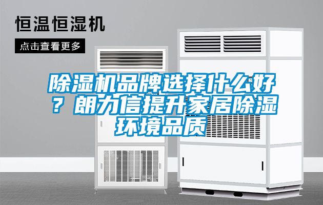 除濕機品牌選擇什么好？朗力信提升家居除濕環境品質