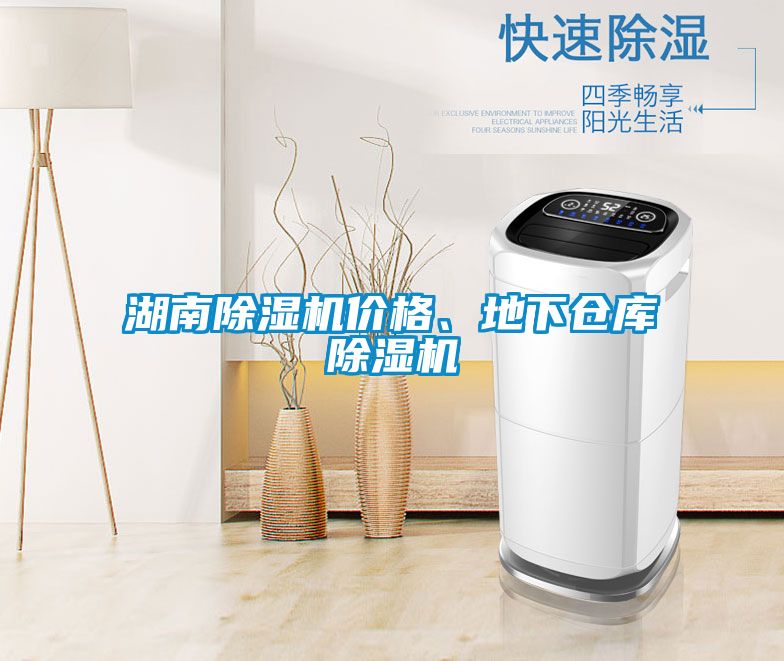 湖南除濕機(jī)價(jià)格、地下倉庫除濕機(jī)