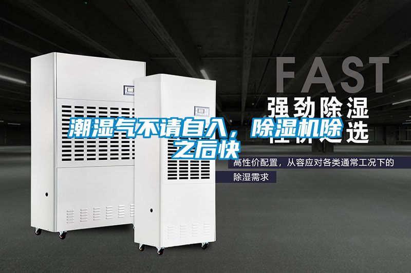 潮濕氣不請自入，除濕機除之后快