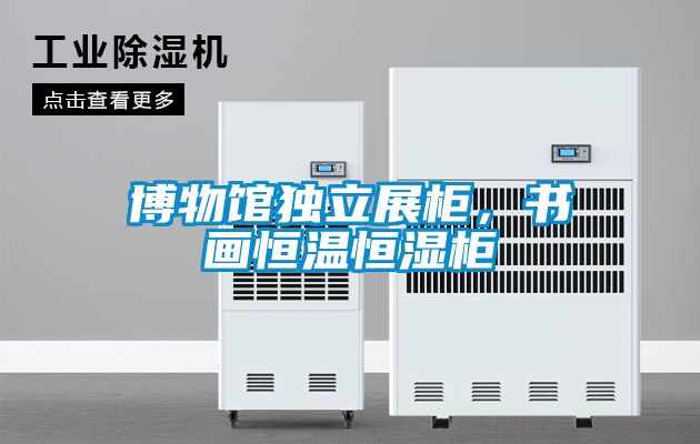 博物館獨立展柜，書畫恒溫恒濕柜