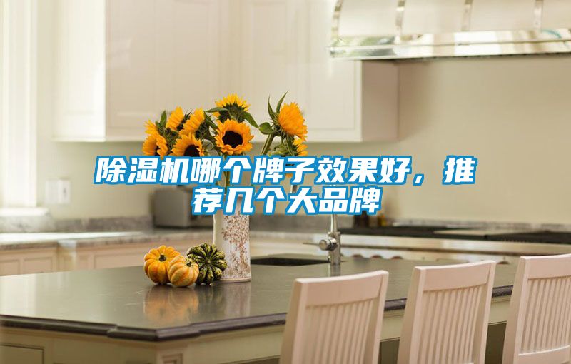 除濕機(jī)哪個(gè)牌子效果好,推薦幾個(gè)大品牌