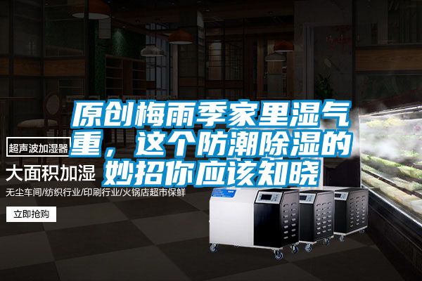 原創(chuàng)梅雨季家里濕氣重,這個(gè)防潮除濕的妙招你應(yīng)該知曉