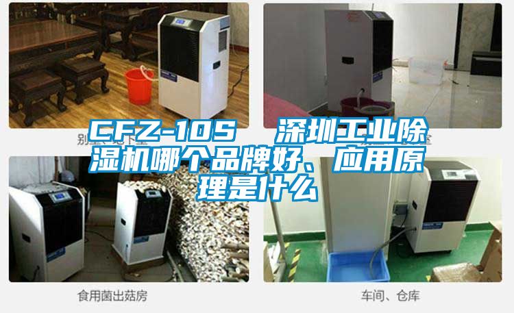 CFZ-10S  深圳工業(yè)除濕機哪個品牌好、應用原理是什么
